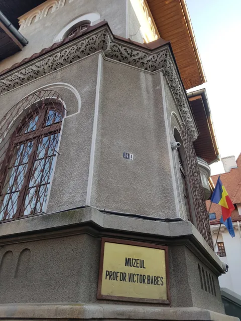 Dr. Victor Babeş Memorial Museum