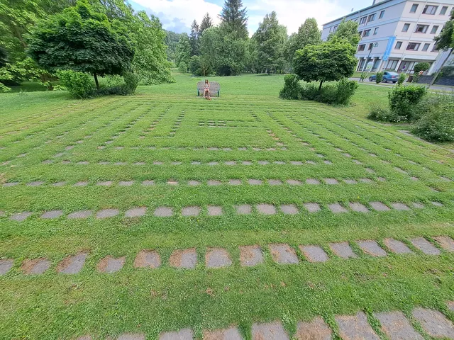photo-1