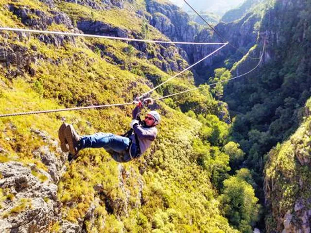 Cape Canopy Tour
