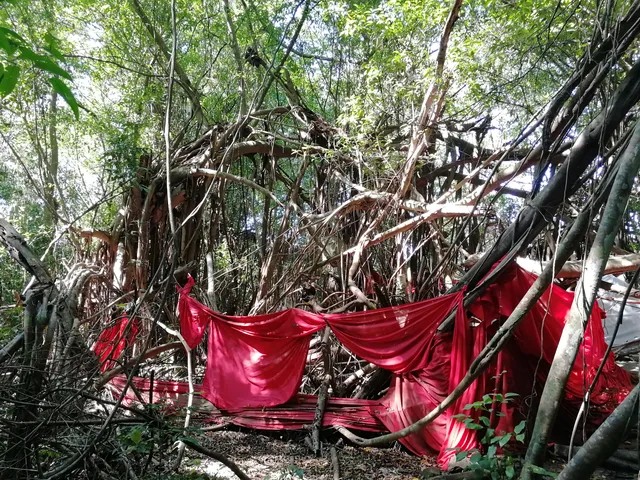Mahatsingo Sacred Tree