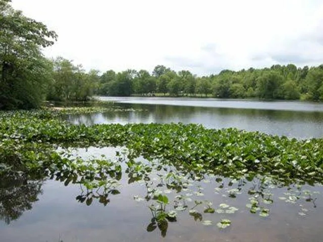 Becks Pond