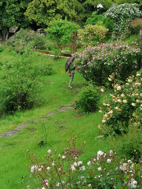 MIRA - Museo Itinerario della Rosa Antica