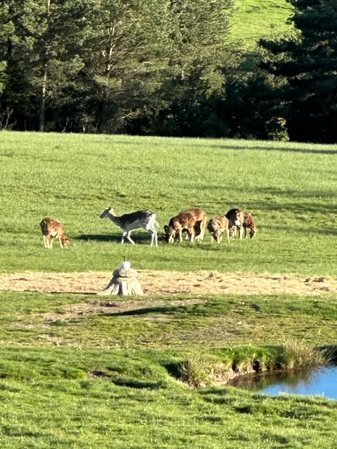 Domaine de la Breillace