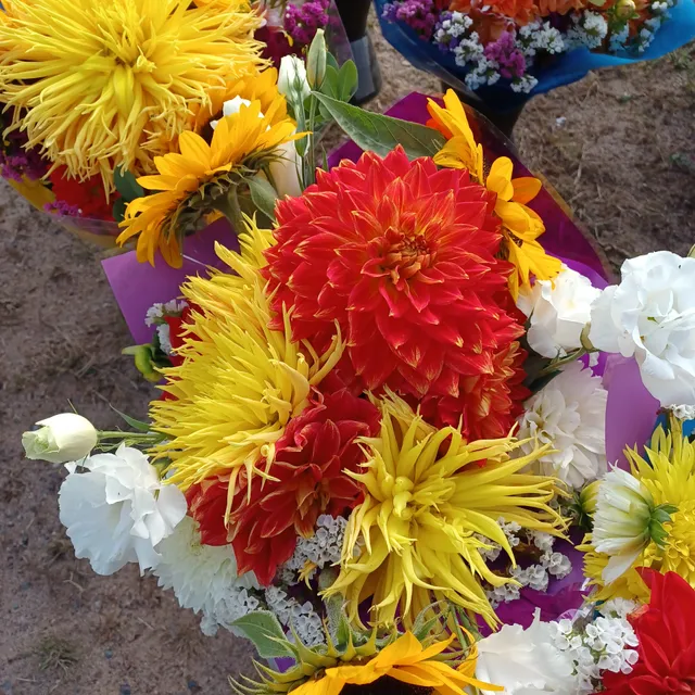 Eagle River Farmers' Market