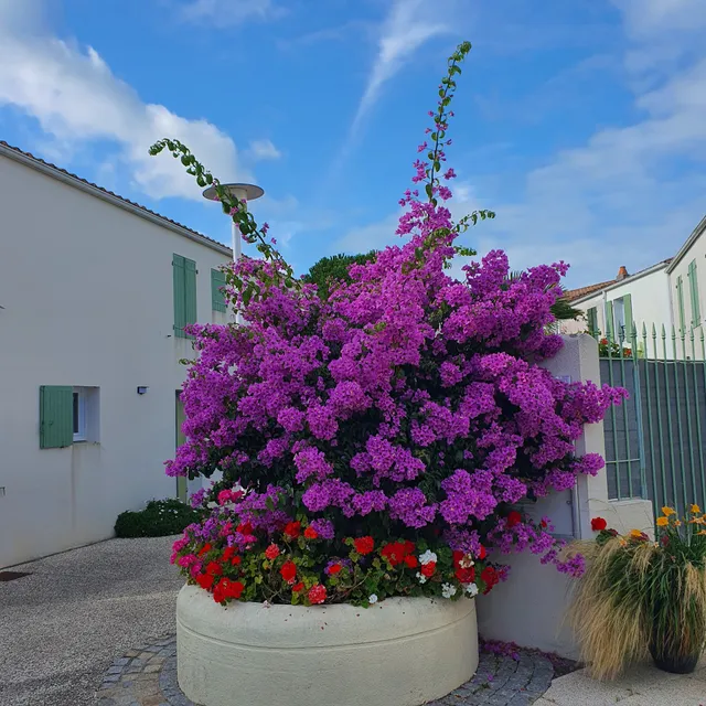 Résidence Les Hauts de Cocraud