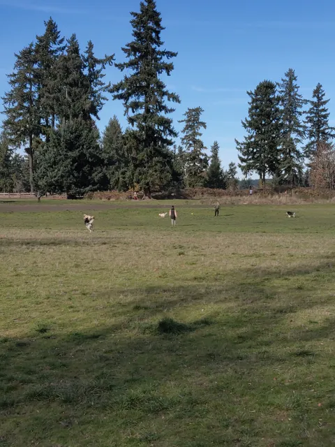 Fort Steilacoom Dog Park