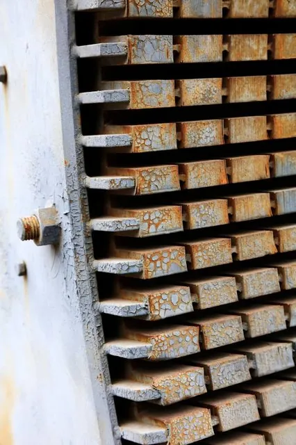 Ain Vittel عين فيتال