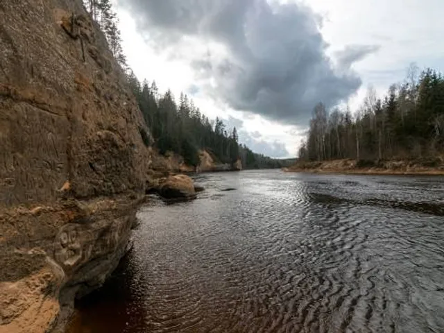Forêt Ouareau - secteur du Pont-Suspendu