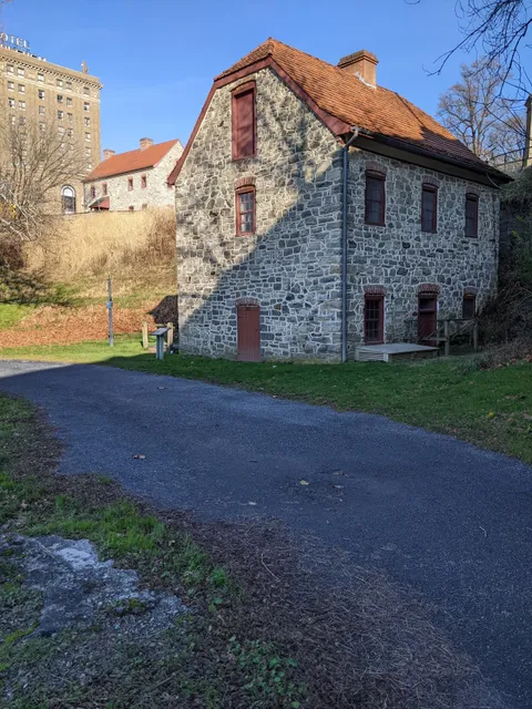 photo-1