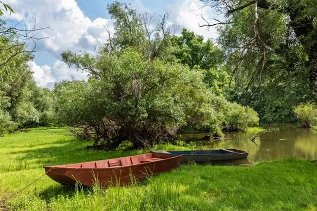 Natural Monument Ivanovacka Ada