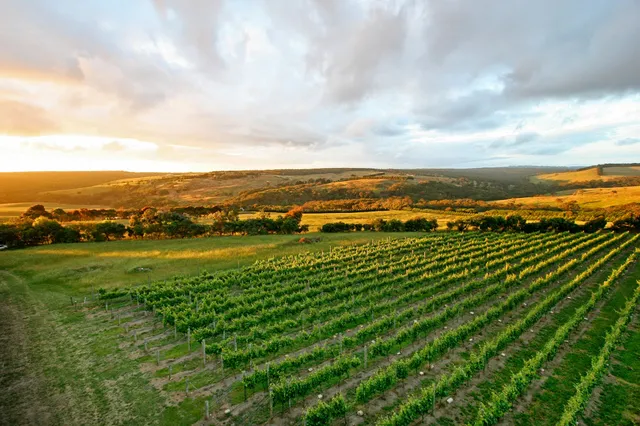 Nazaaray Estate Winery