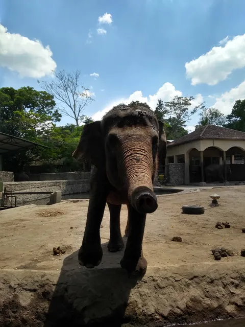 Museum Satwa Gembira Loka Zoo