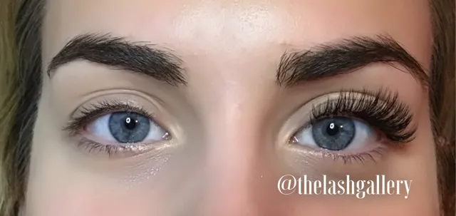 The Lash Gallery, LLC