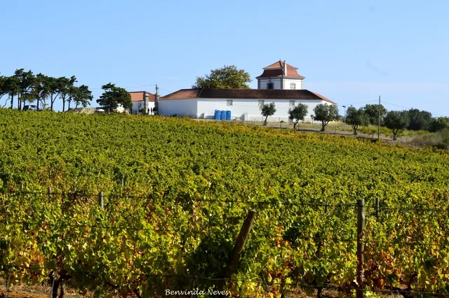 Casal da Butter Winery