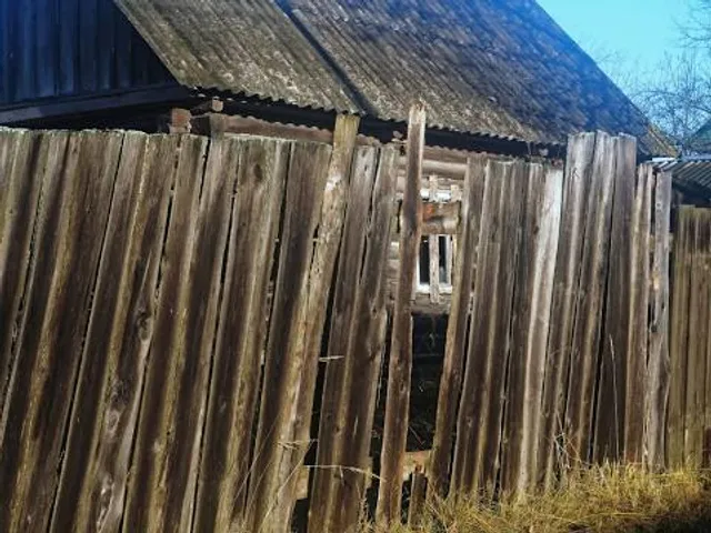 Walt Disney Dreaming Tree and Barn