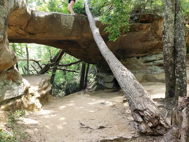 Princess Arch Trailhead