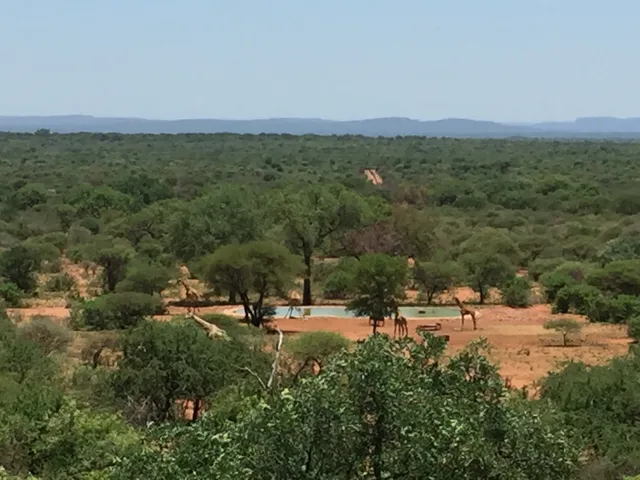 Gaspare Spanio Safaris