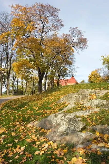 photo-1