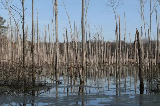 Pee Dee National Wildlife Refuge