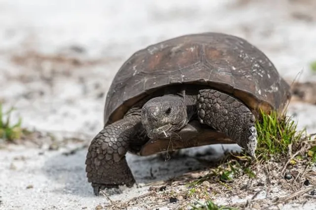 Cascata di San Valentino - Sadali