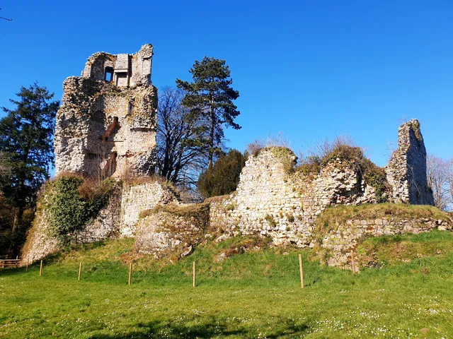 Château de Saint-Aubin-du-Cormier