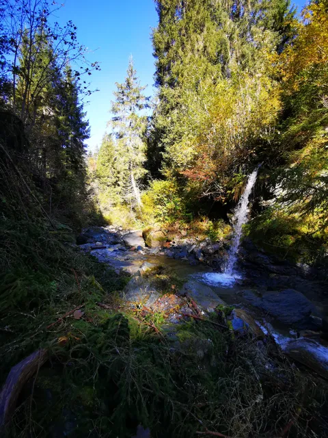 photo-2