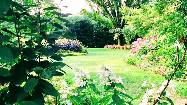 The gardens of Martels