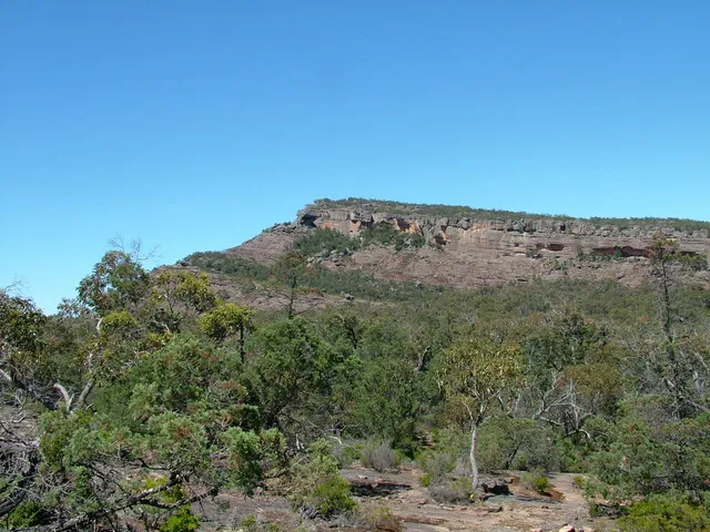Black Range State Park
