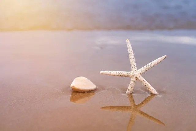 Regional Park Indore