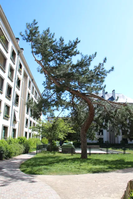 Farman Brothers Playground