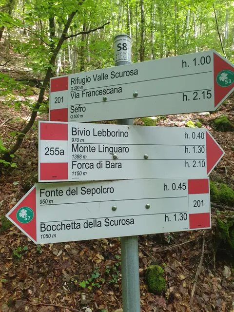 Valle della Scurosa