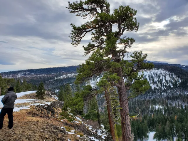 Naches Ranger Station