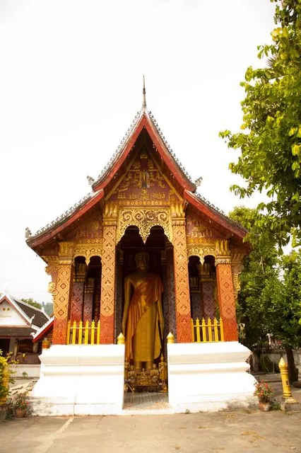 photo-1