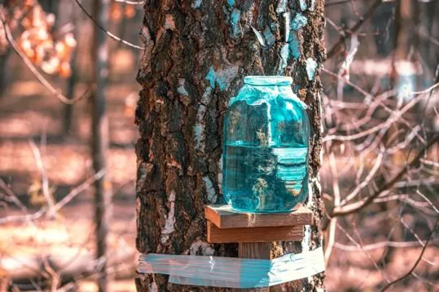 The Copp Family Park