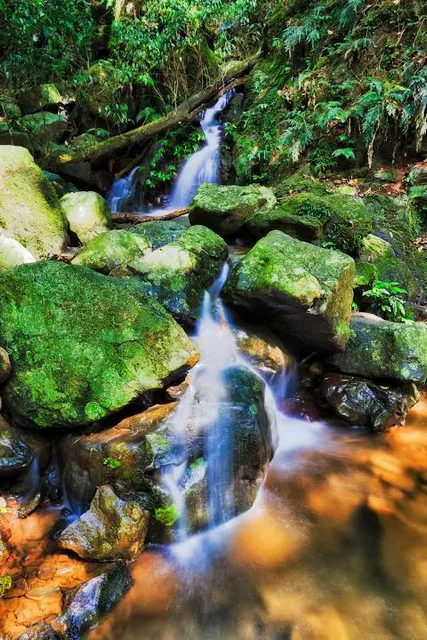 Crystal Shower Falls walk