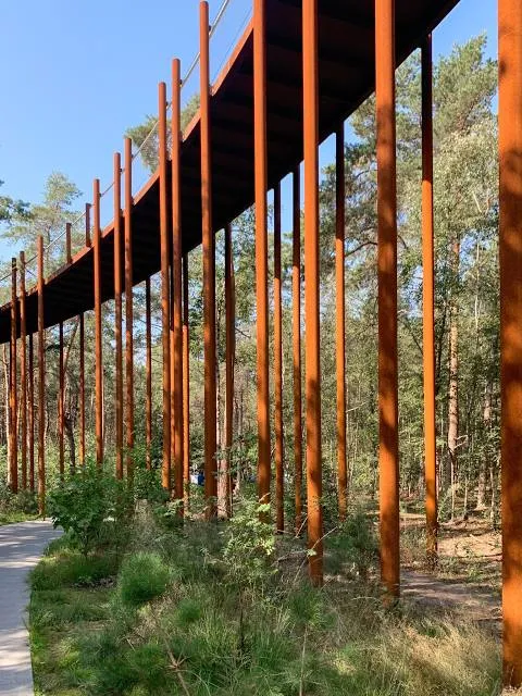 Cycling through the Trees