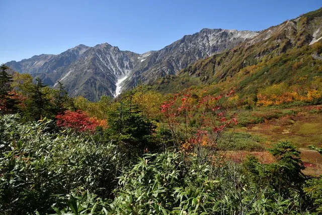 Tsugaike Nature Garden