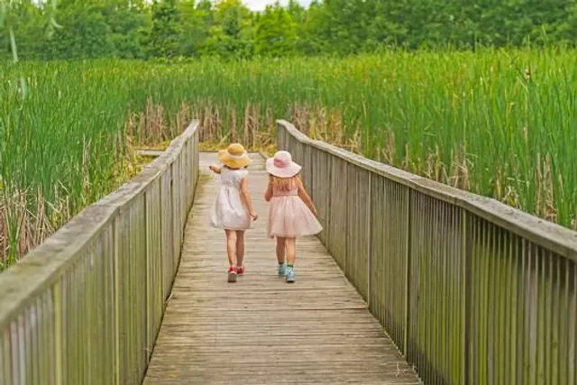 Springbrook Nature Center