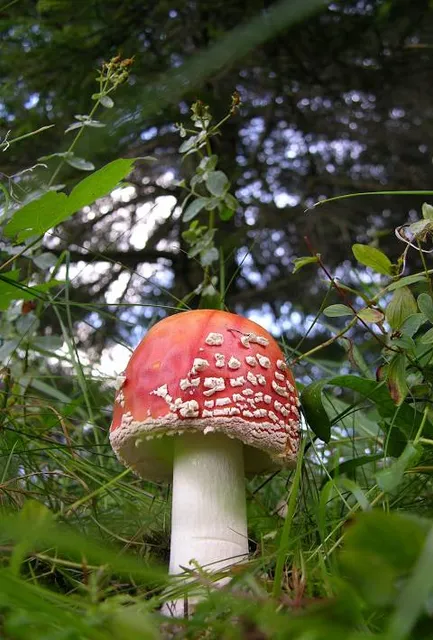 photo-2