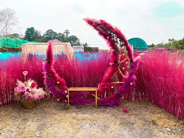 Suan Rim Than Pluak Daeng