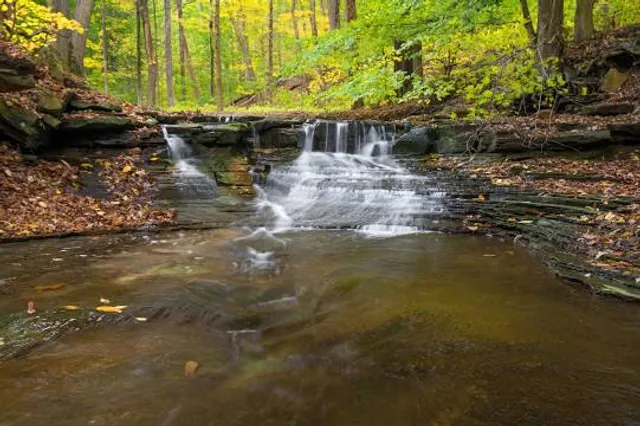 North Chagrin Reservation