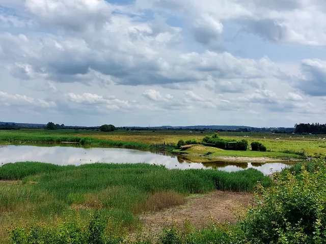 Petit train baie de Somme