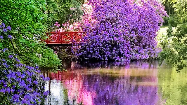 Le Parc du Château de Chantore