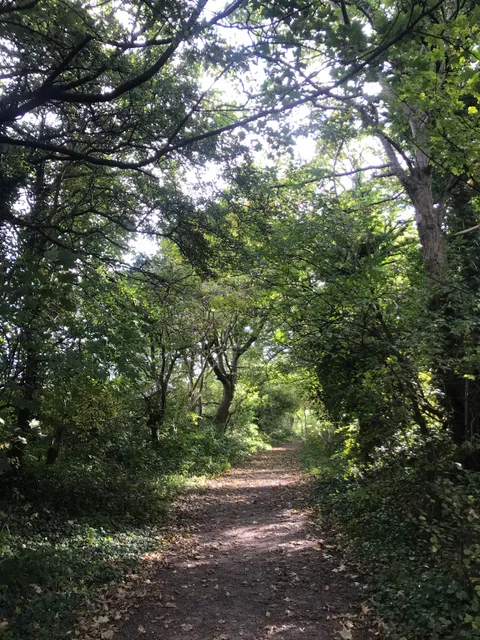 North Blackpool Pond Trail