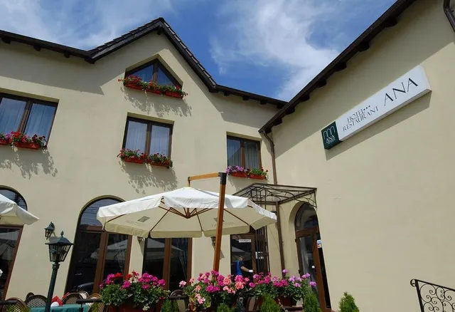 Cazare Arad | Ana Hotel