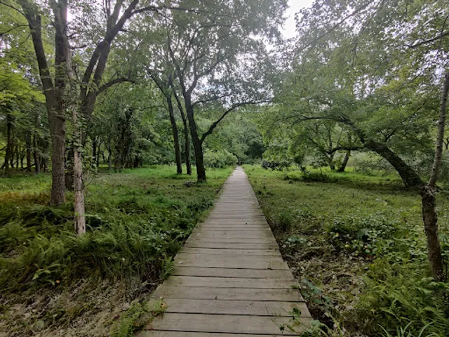 Cheesequake State Park Trailhead