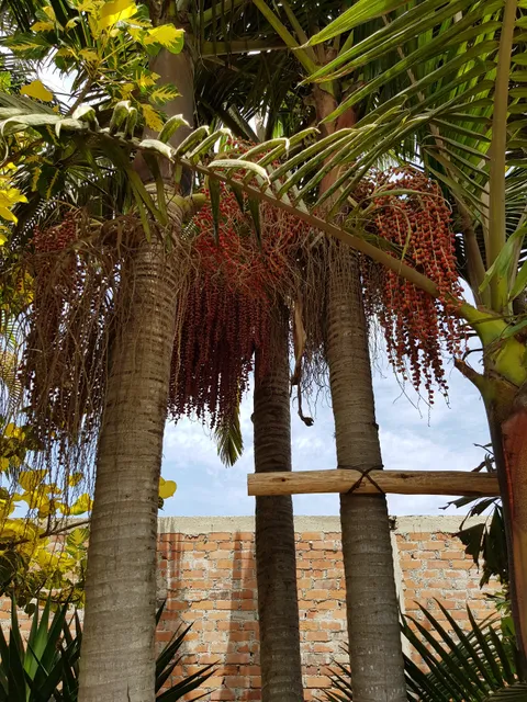 Museo Jardín de Los Sentidos