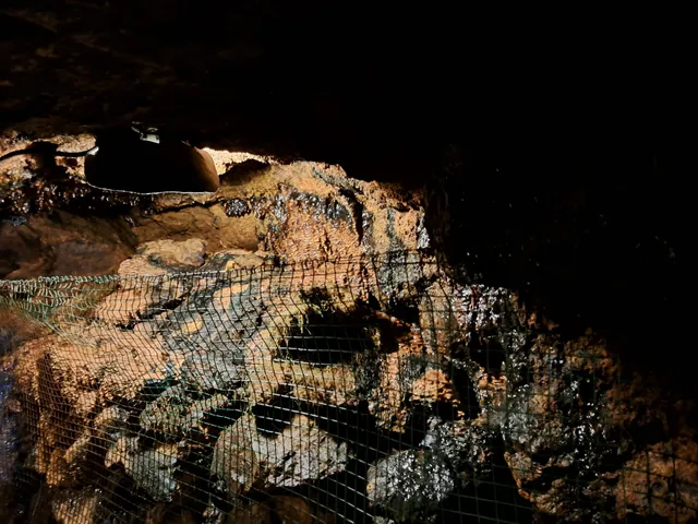 photo-1