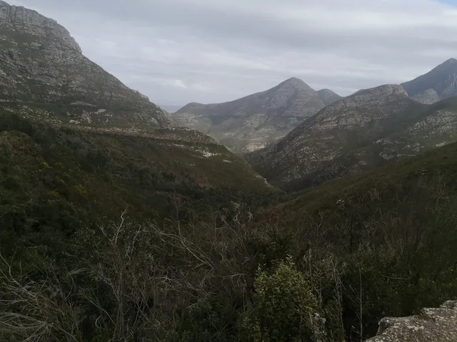 Outeniqua Nature Reserve