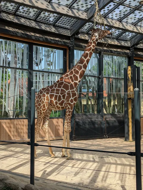 Giraffenpark